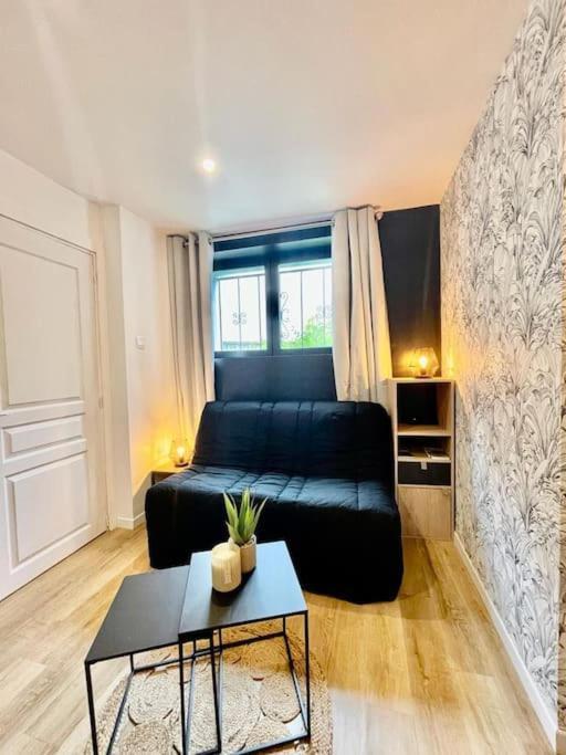 Le Studio Du Port Châteauneuf-sur-Loire Exterior foto